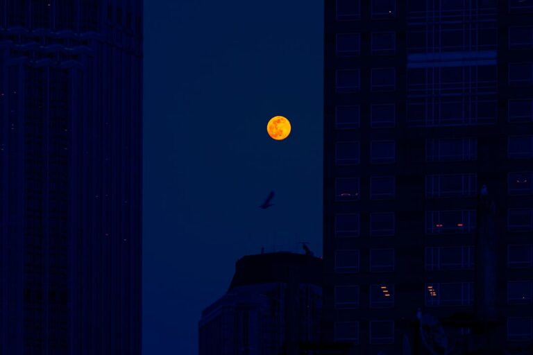 Photo Quiz night poster